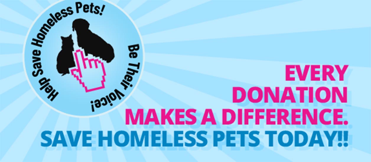 Save Homeless Pets!